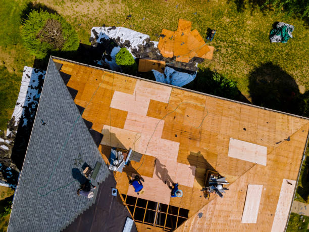 Best Storm Damage Roof Repair  in Dixon, IL