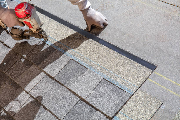 Best Storm Damage Roof Repair  in Dixon, IL